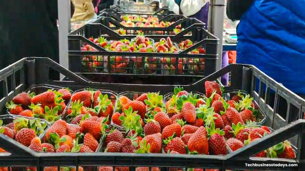 How to Start a Profitable Jam Making Business