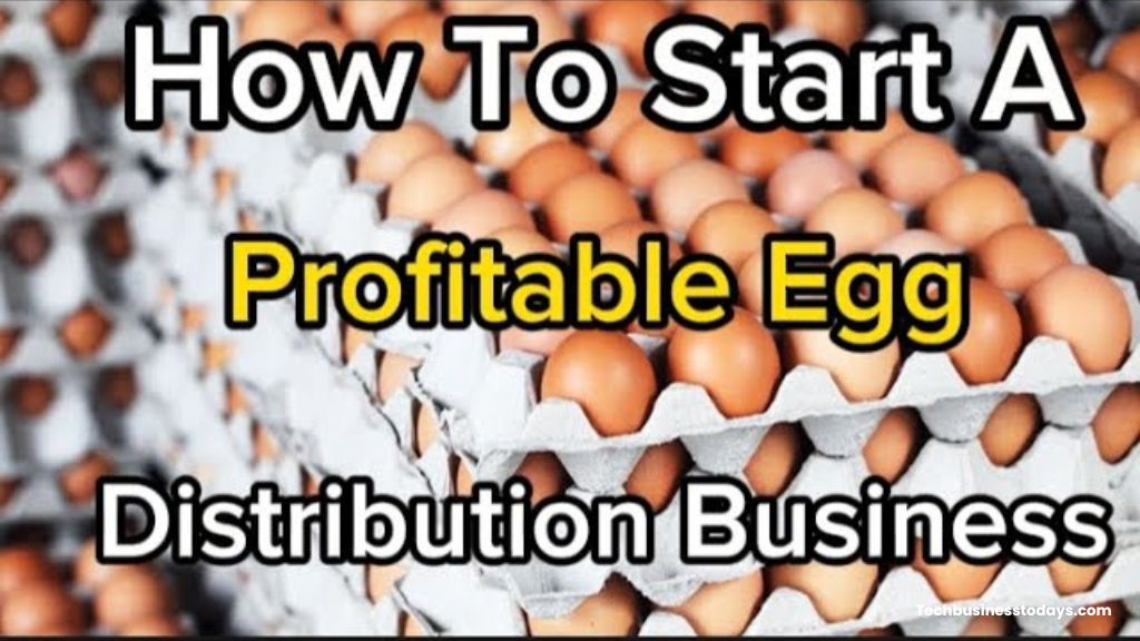 How to Start an Egg Distribution Business